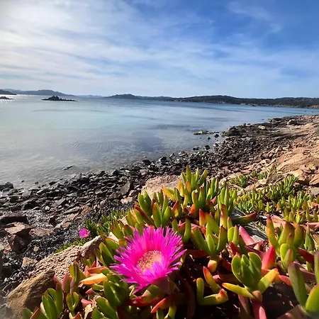 Affittacamere Loft La Conchiglia 4*